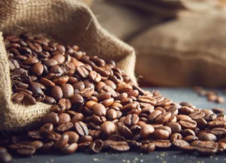 Feria Nacional del Café 2026 en Coatepec: fechas, actividades y cartelera del evento Feria Nacional del Café