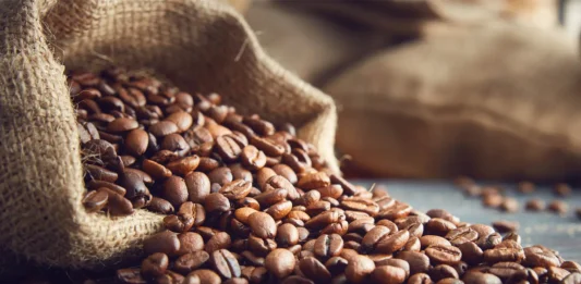Feria Nacional del Café 2026 en Coatepec: fechas, actividades y cartelera del evento Feria Nacional del Café