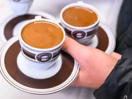 La Paz será sede del primer Festival Estatal del Café en 2026 Primer Festival Estatal del Café