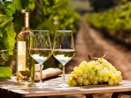 Sabor a Vid 2026 en León: fechas, experiencias y todo sobre el festival de vino y gastronomía Sabor a Vid 2026
