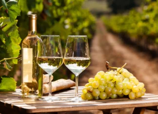 Sabor a Vid 2026 en León: fechas, experiencias y todo sobre el festival de vino y gastronomía Sabor a Vid 2026