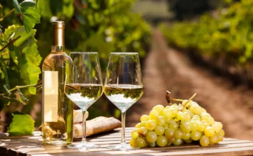 Sabor a Vid 2026 en León: fechas, experiencias y todo sobre el festival de vino y gastronomía Sabor a Vid 2026