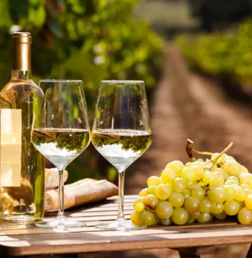 Sabor a Vid 2026 en León: fechas, experiencias y todo sobre el festival de vino y gastronomía Sabor a Vid 2026