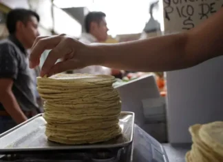 ¿Va a Subir el Precio de la Tortilla? Esto es lo que sabemos Va a Subir el Precio de la Tortilla Esto es lo que sabemos