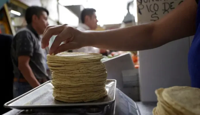 Va a Subir el Precio de la Tortilla Esto es lo que sabemos