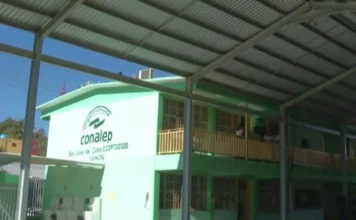 Ángela Olazarán: la revolución robótica que nació en el Conalep y hoy inspira a México alejandra conalep