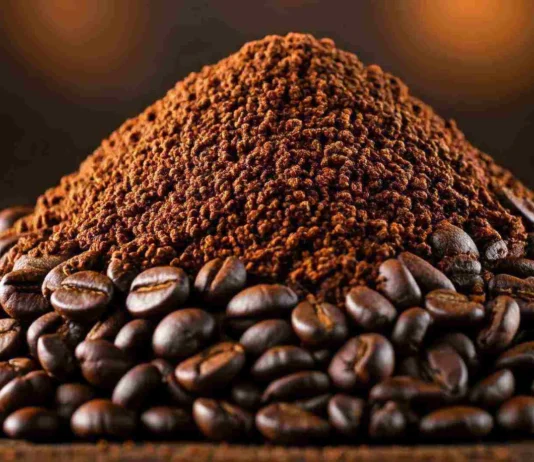 Café arábica en México cae en 2026: qué está pasando con su precio café arábica en mexico