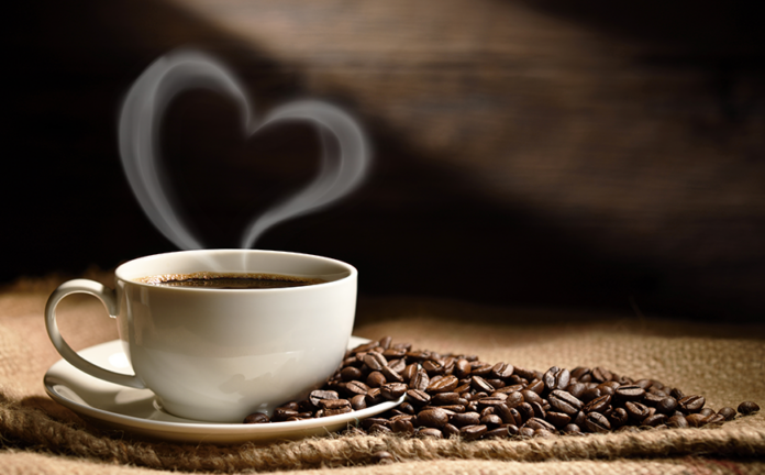 cafe intestino estudio cafe intestino estudio