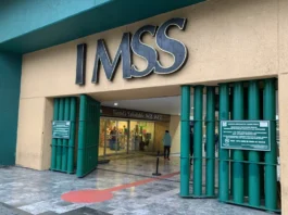 Empleo en México 2026: IMSS y STPS defienden crecimiento y rechazan caída imss empleos 2026