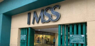 Empleo en México 2026: IMSS y STPS defienden crecimiento y rechazan caída imss empleos 2026