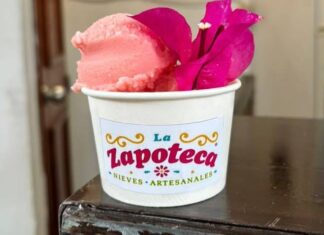 Helados de chapulín y mole: Oaxaca reinventa su gastronomía en forma de nieve nieves artesanales oaxaca