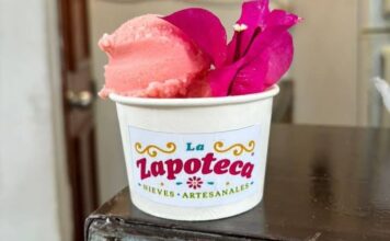 Helados de chapulín y mole: Oaxaca reinventa su gastronomía en forma de nieve nieves artesanales oaxaca