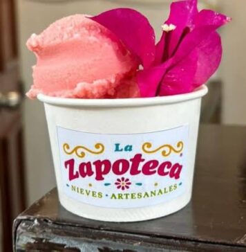 Helados de chapulín y mole: Oaxaca reinventa su gastronomía en forma de nieve nieves artesanales oaxaca