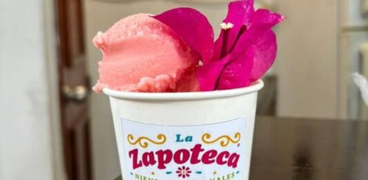 Helados de chapulín y mole: Oaxaca reinventa su gastronomía en forma de nieve nieves artesanales oaxaca