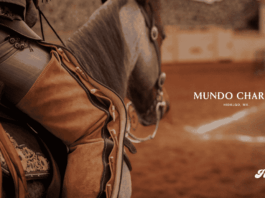 Mundo Charro recibe Reconocimiento Paddock 2026 por bienestar equino en México noticias mundo charro premio
