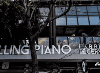The Falling Piano en CDMX: cerveza artesanal, atmósfera urbana y una experiencia que vibra en la Roma noticias the falling piano