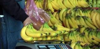 Precio del plátano en México 2026: Profeco revela cuánto debería costar precio de platano mexico