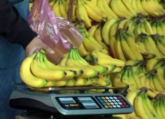 Precio del plátano en México 2026: Profeco revela cuánto debería costar precio de platano mexico