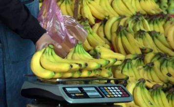 Precio del plátano en México 2026: Profeco revela cuánto debería costar precio de platano mexico