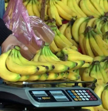 Precio del plátano en México 2026: Profeco revela cuánto debería costar precio de platano mexico