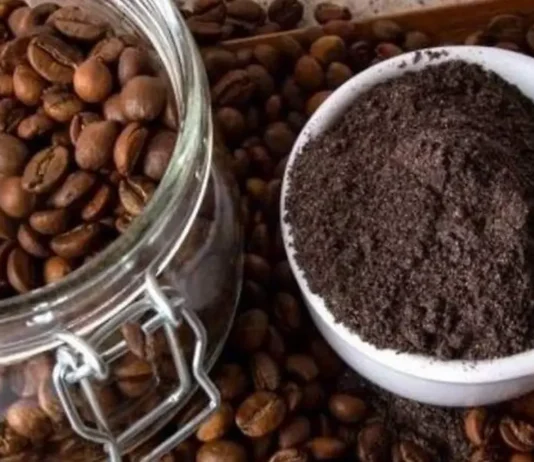 Ranking mundial del café: los países con mejor sabor y calidad en 2026 ranking de cafe 2026