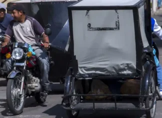 Mototaxistas en CDMX exigen regularización y presentan plan para transporte de barrio regularizacion mototaxistas cdmx