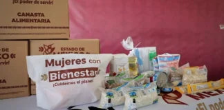 Alimentación para el Bienestar: pérdidas millonarias y dudas sobre su viabilidad financiera Alimentación para el Bienestar