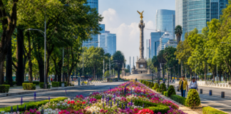 CDMX se prepara para el Mundial 2026 con más de un millón de plantas en calles y avenidas