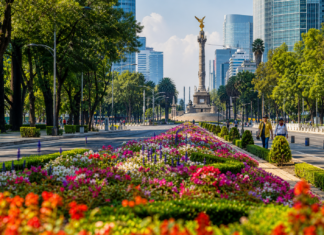 CDMX se prepara para el Mundial 2026 con más de un millón de plantas en calles y avenidas