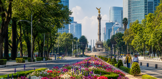 CDMX se prepara para el Mundial 2026 con más de un millón de plantas en calles y avenidas