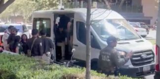Denuncian redadas de migración en la CDMX Denuncian redadas de migración en la CDMX