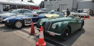 Edomex realizará exhibición de autos clásicos con causa para ayudar a perros y gatos rescatados Exposición de autos clásicos
