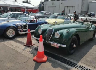 Edomex realizará exhibición de autos clásicos con causa para ayudar a perros y gatos rescatados Exposición de autos clásicos
