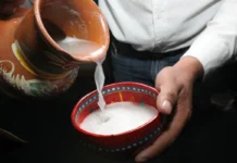 Festival del Pulque y la Gastronomía en Hidalgo: fechas, actividades y todo lo que habrá Festival del Pulque 2026