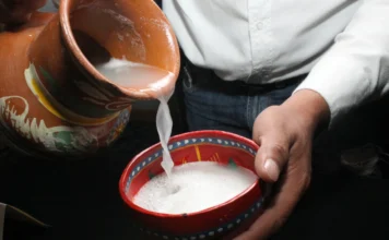 Festival del Pulque y la Gastronomía en Hidalgo: fechas, actividades y todo lo que habrá Festival del Pulque 2026