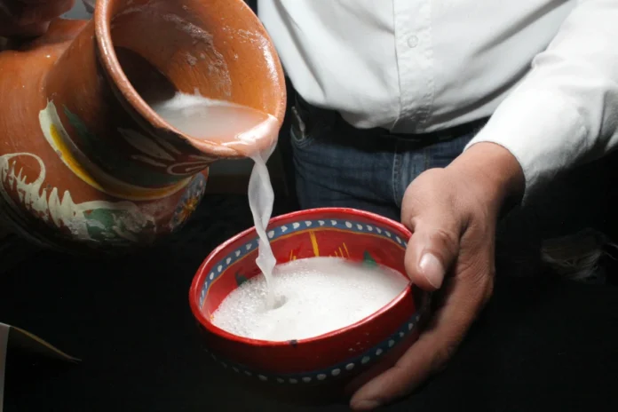 Festival del Pulque 2026