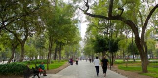 Gorbierno de la Ciudad de México alista remodelación en la alameda Gorbierno de la Ciudad de México alista remodelación en la alameda