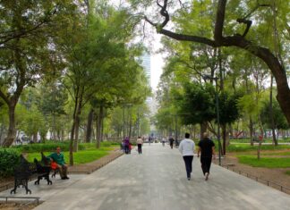 Gorbierno de la Ciudad de México alista remodelación en la alameda Gorbierno de la Ciudad de México alista remodelación en la alameda