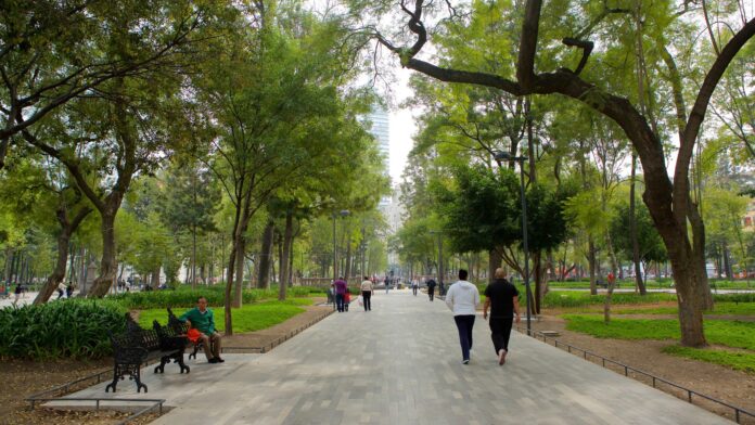 Gorbierno de la Ciudad de México alista remodelación en la alameda