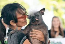 Habrá concurso del perrito más feo en la CDMX Habrá concurso del perrito más feo en la CDMX