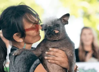 Habrá concurso del perrito más feo en la CDMX Habrá concurso del perrito más feo en la CDMX