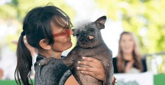 Habrá concurso del perrito más feo en la CDMX Habrá concurso del perrito más feo en la CDMX