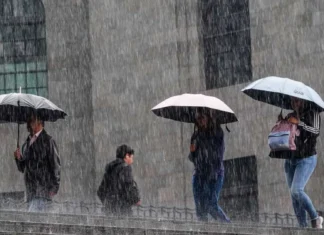 Temporal de lluvias en CDMX se extenderá varios días: esto se sabe del clima en mayo 2026 LLUVIAS MAYO CDMX
