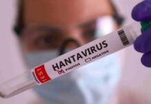 México emite su primer aviso Epidemiológico por Hantavirus México emite su primer aviso Epidemiológico por Hantavirus