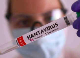 México emite su primer aviso Epidemiológico por Hantavirus México emite su primer aviso Epidemiológico por Hantavirus