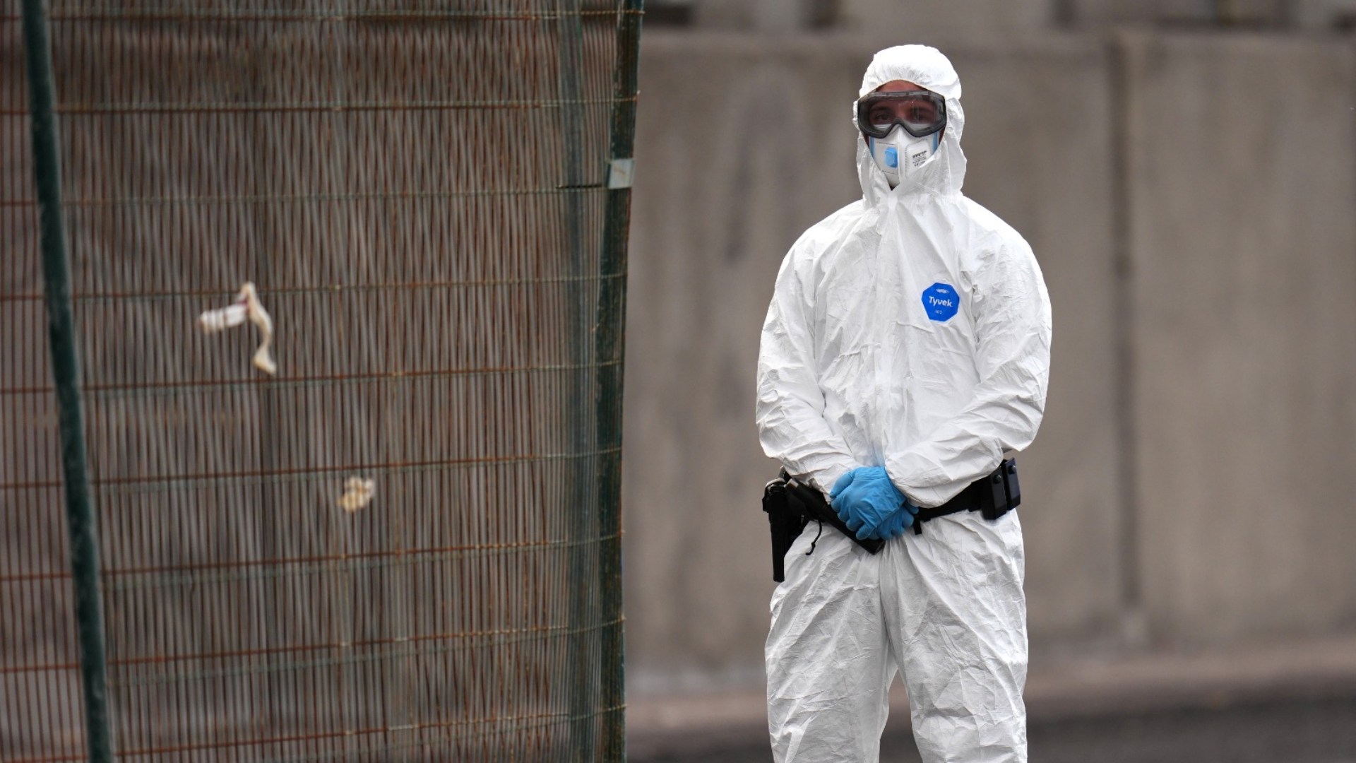 México emite su primer aviso Epidemiológico por Hantavirus