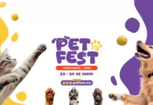 Nueva edición del Pet Fest 2026 en colaboración con Laika Nueva edición del Pet Fest 2026 en colaboración con Laika
