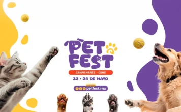 Nueva edición del Pet Fest 2026 en colaboración con Laika Nueva edición del Pet Fest 2026 en colaboración con Laika