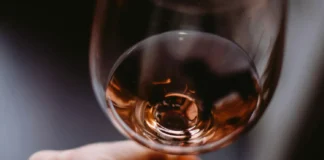 Ribera del Duero conquista México con vinos que elevan la gastronomía Ribera del Duero vinos