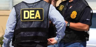 Escándalo en la DEA: revelan casos de agentes coludidos con el narco y corrupción interna agencias DEA coludidos narco mexico